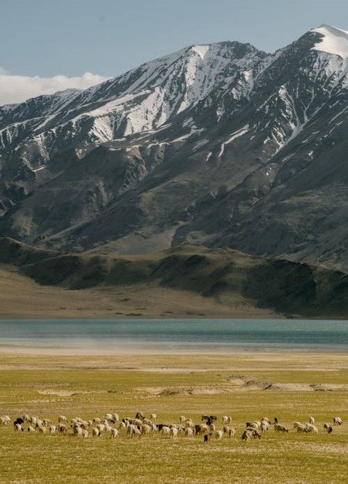 Leh Ladakh