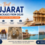 Best Gujarat Tour Packages from Delhi: Your Complete Travel Guide