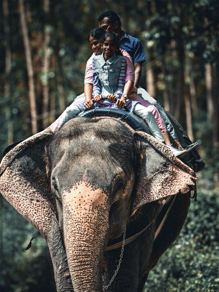 Kerala Family Package