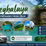Best Meghalaya Tour Packages from Delhi