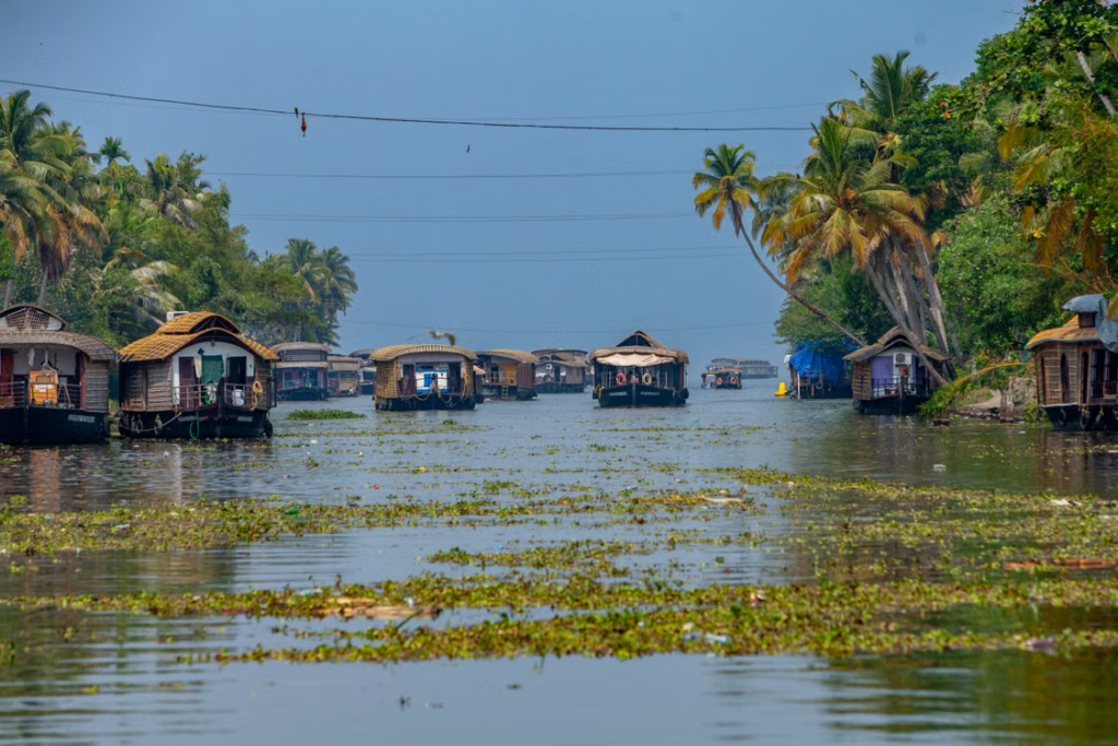 Kerala Backwaters Special with Houseboat Stay
