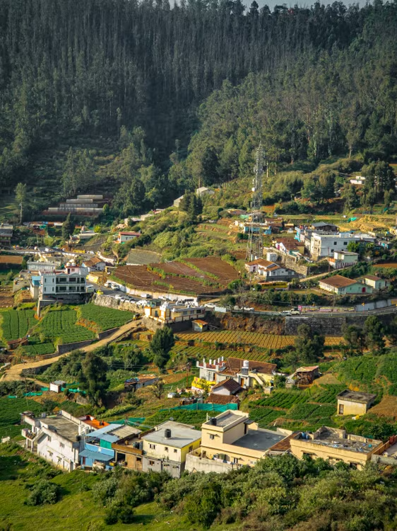 Ooty Kodaikanal Tour Packages from Delhi