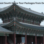 Best South Korea Tour Packages from Delhi: Complete Seoul Trip and Korea Holiday Guide