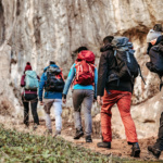 How to Plan a Wildlife Tour Package from Delhi: A Complete Guide