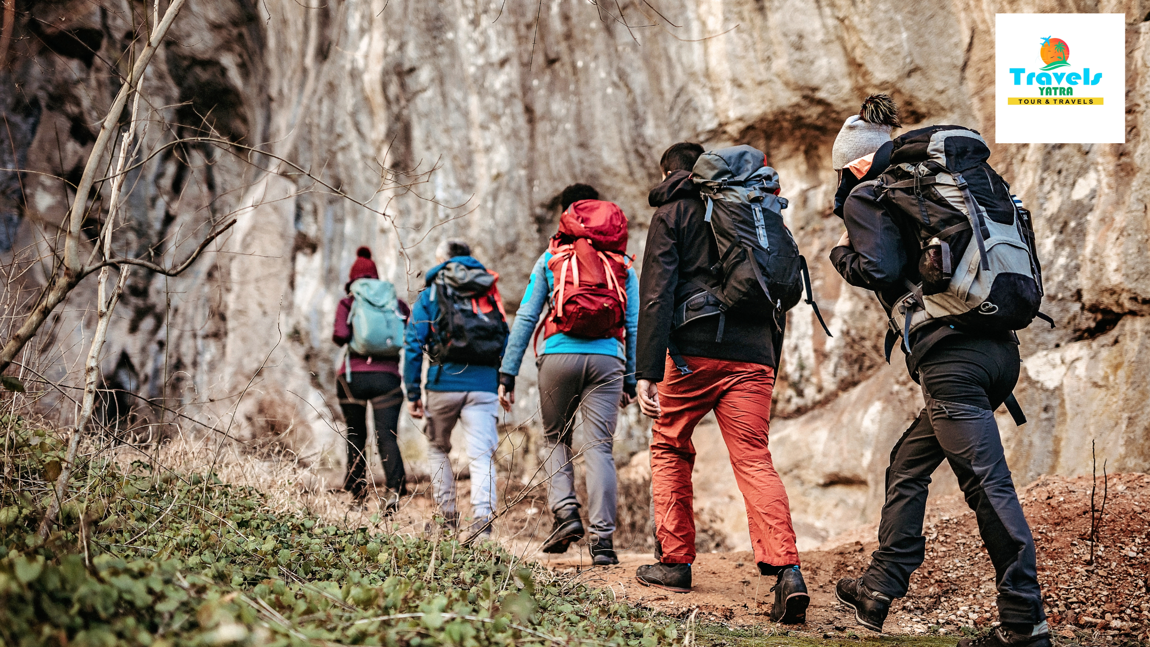 How to Plan a Wildlife Tour Package from Delhi: A Complete Guide