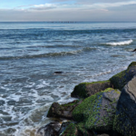 Best Puducherry Tour Packages from Delhi (2026 Guide)