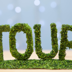 How to Track Your Tour Package Booking from Delhi