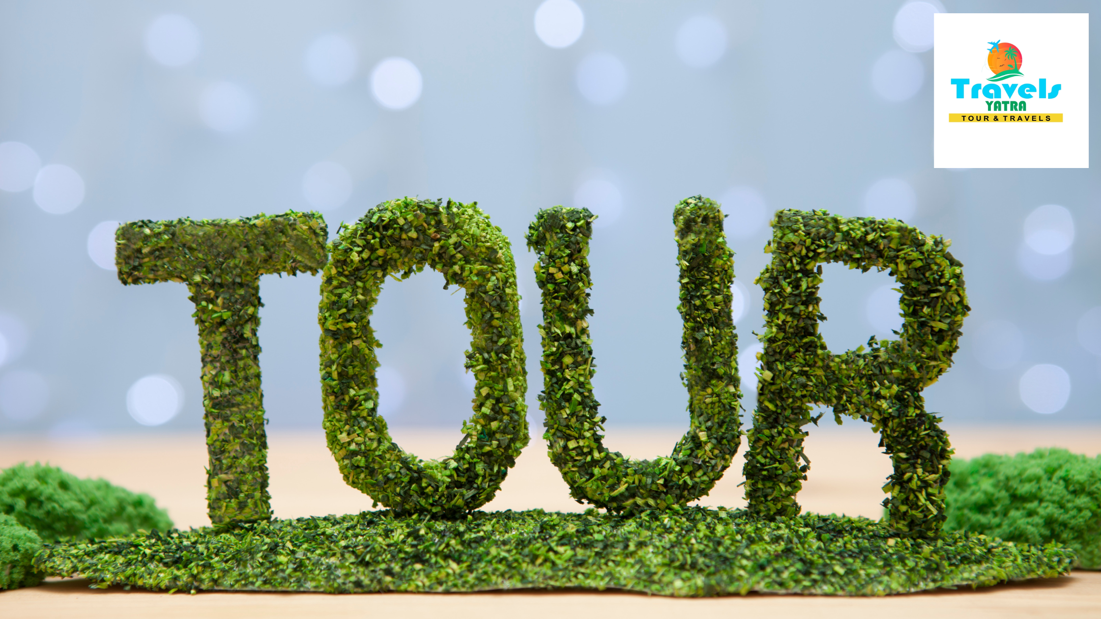 How to Track Your Tour Package Booking from Delhi